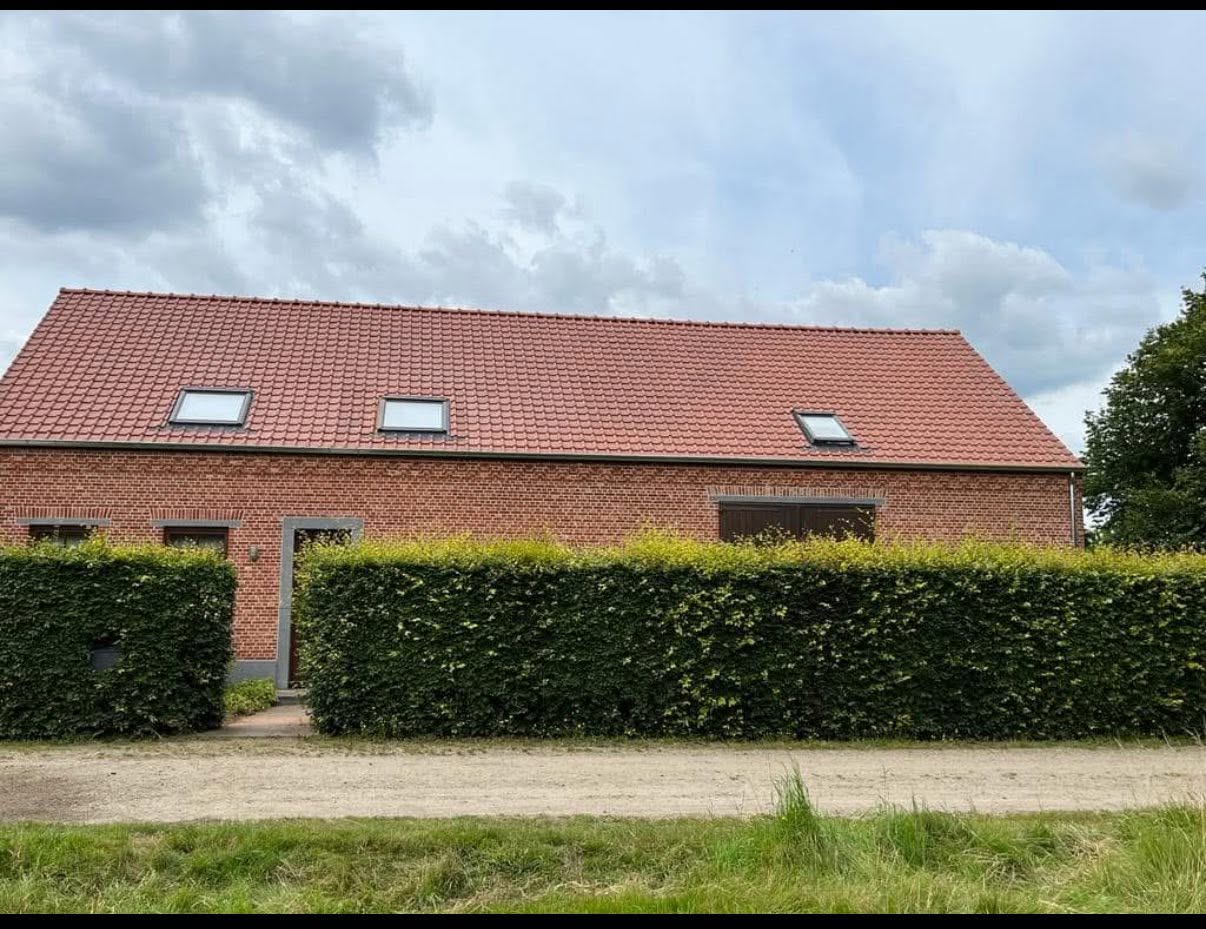 Zinkwerken & dakgoten door Disztlse Dakwerken